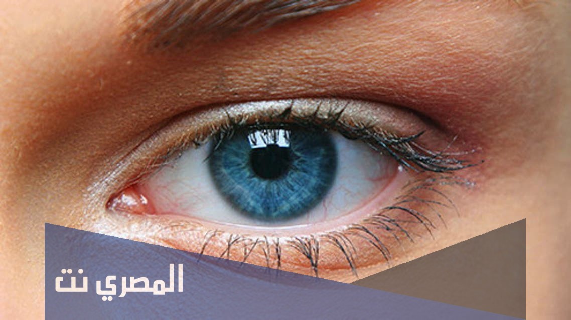 كم عدد العضلات التي تتحكم في اتزان العين