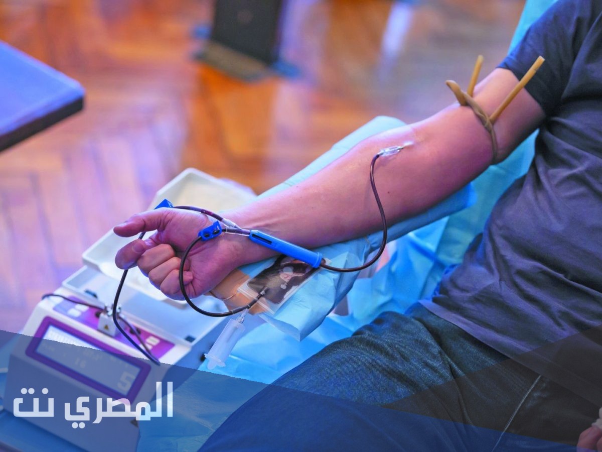 كم لتر دم في جسم الإنسان الطبيعي