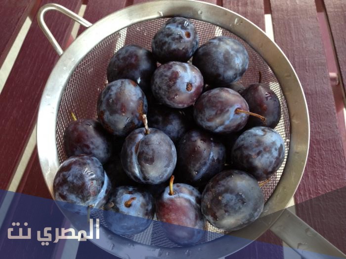 كيفية تجفيف الخوخ الطازج