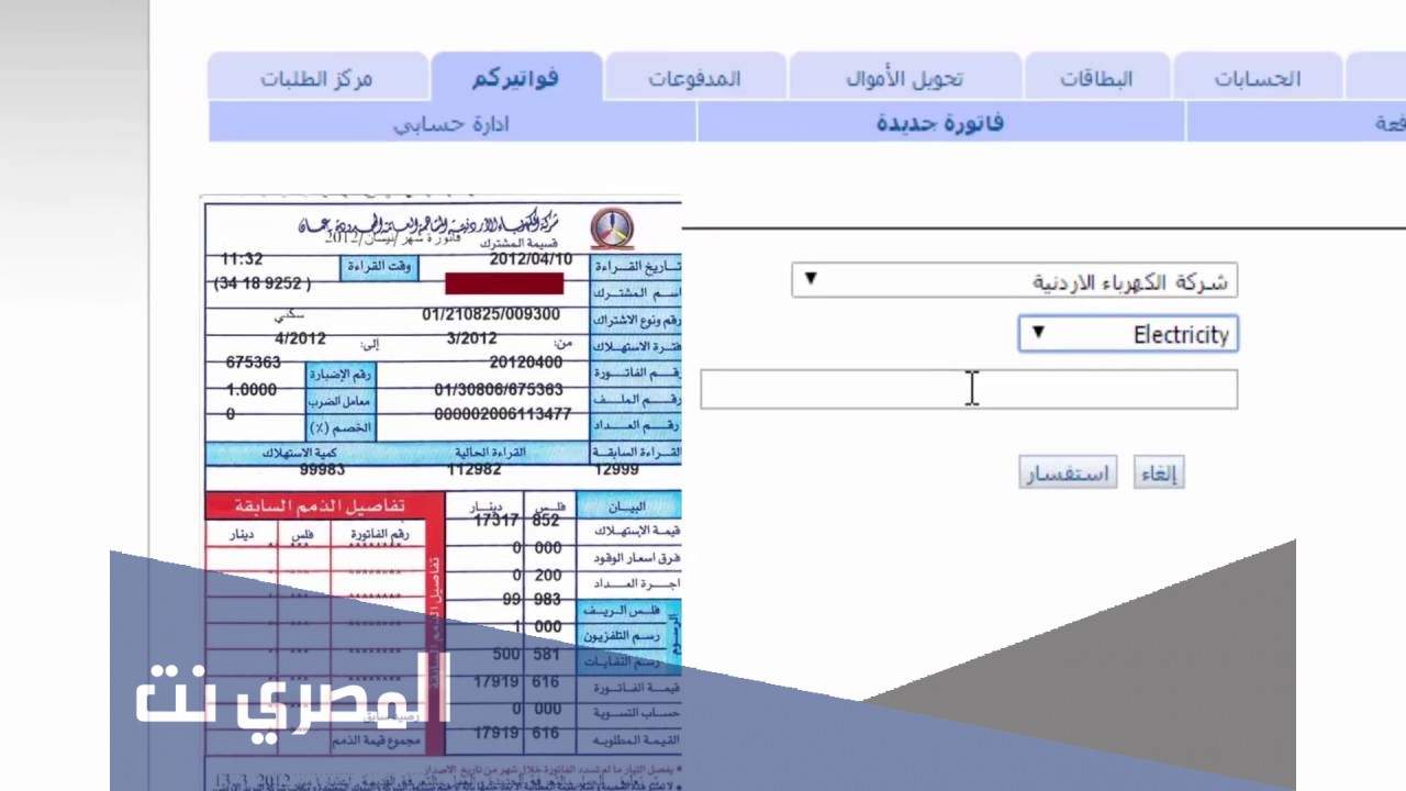 كيفية تسديد فاتورة الكهرباء عن طريق النت