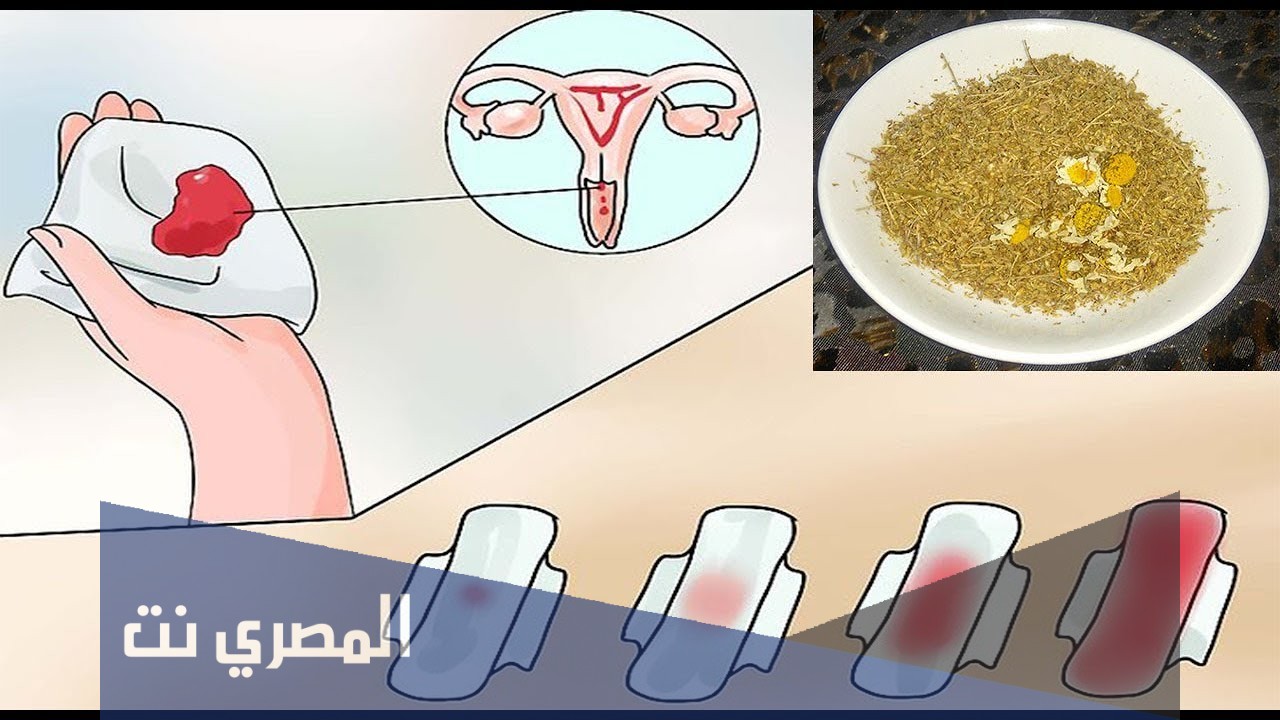 كيفية تنظيم الدورة بالأعشاب