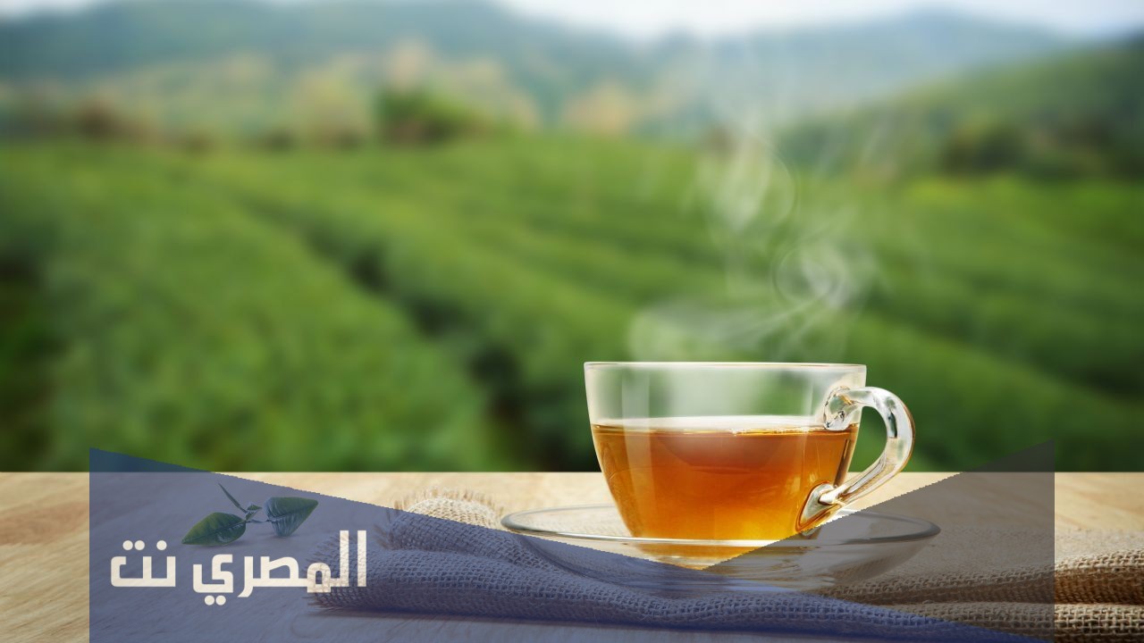 كيفية علاج السمنة بالأعشاب