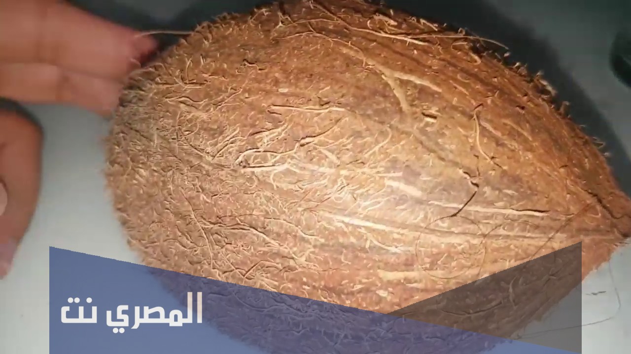 كيفية فتح جوز الهند بسهولة