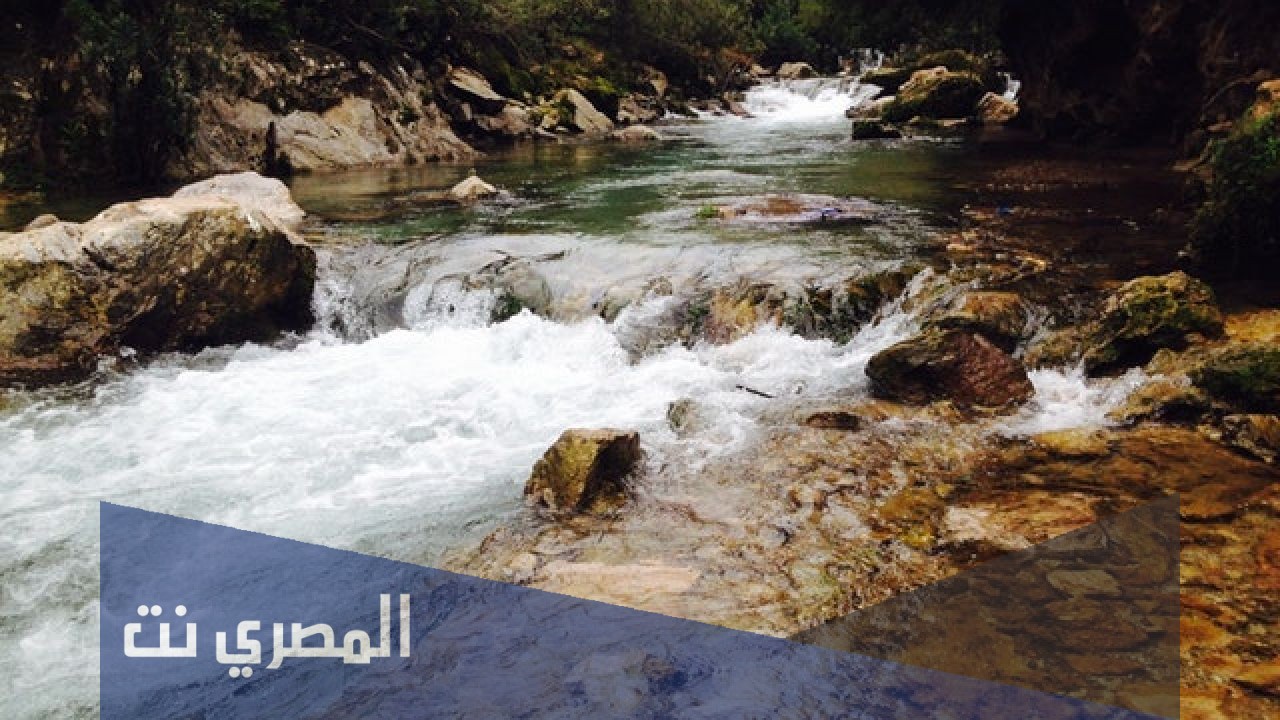كيفية قياس جودة الأوساط المائية