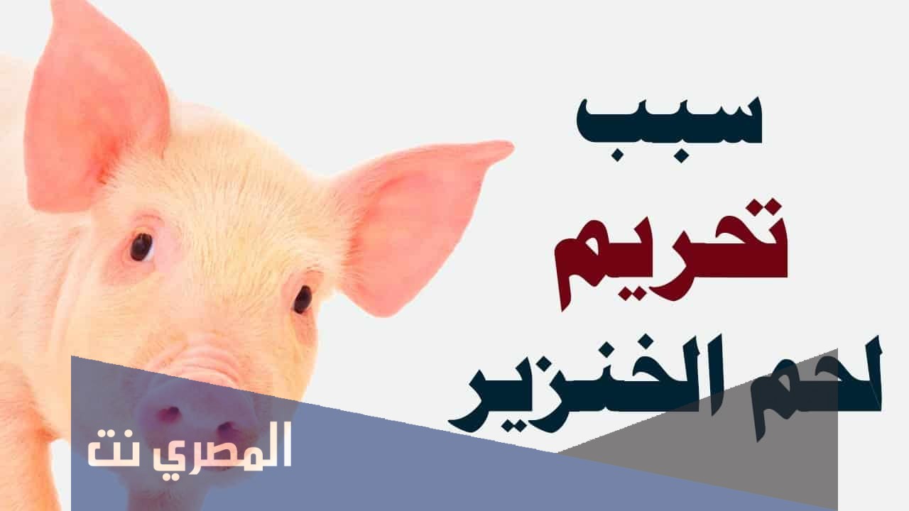 لماذا حرم لحم الخنزير على المسلمين
