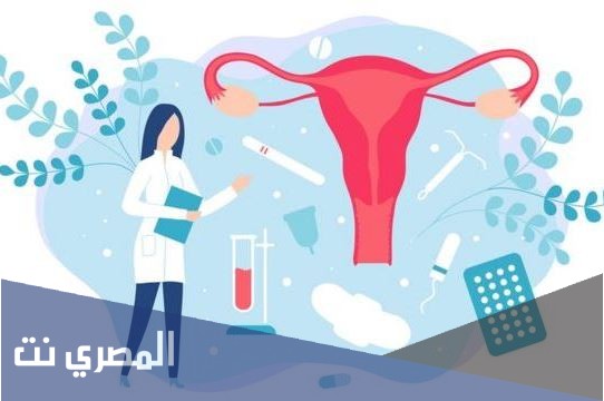 لماذا خلق الله الدورة الشهرية