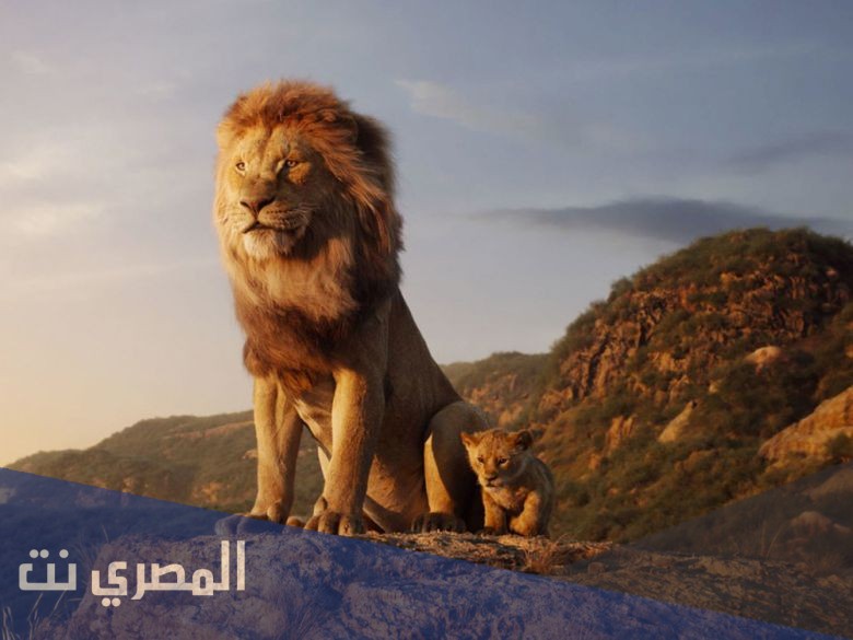 لماذا سمي الاسد ملك الغابة بهذا الاسم