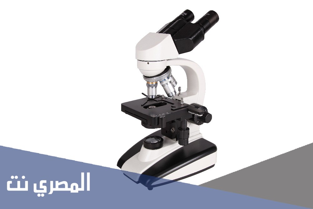 لماذا سمي المجهر الالكتروني بهذا الاسم