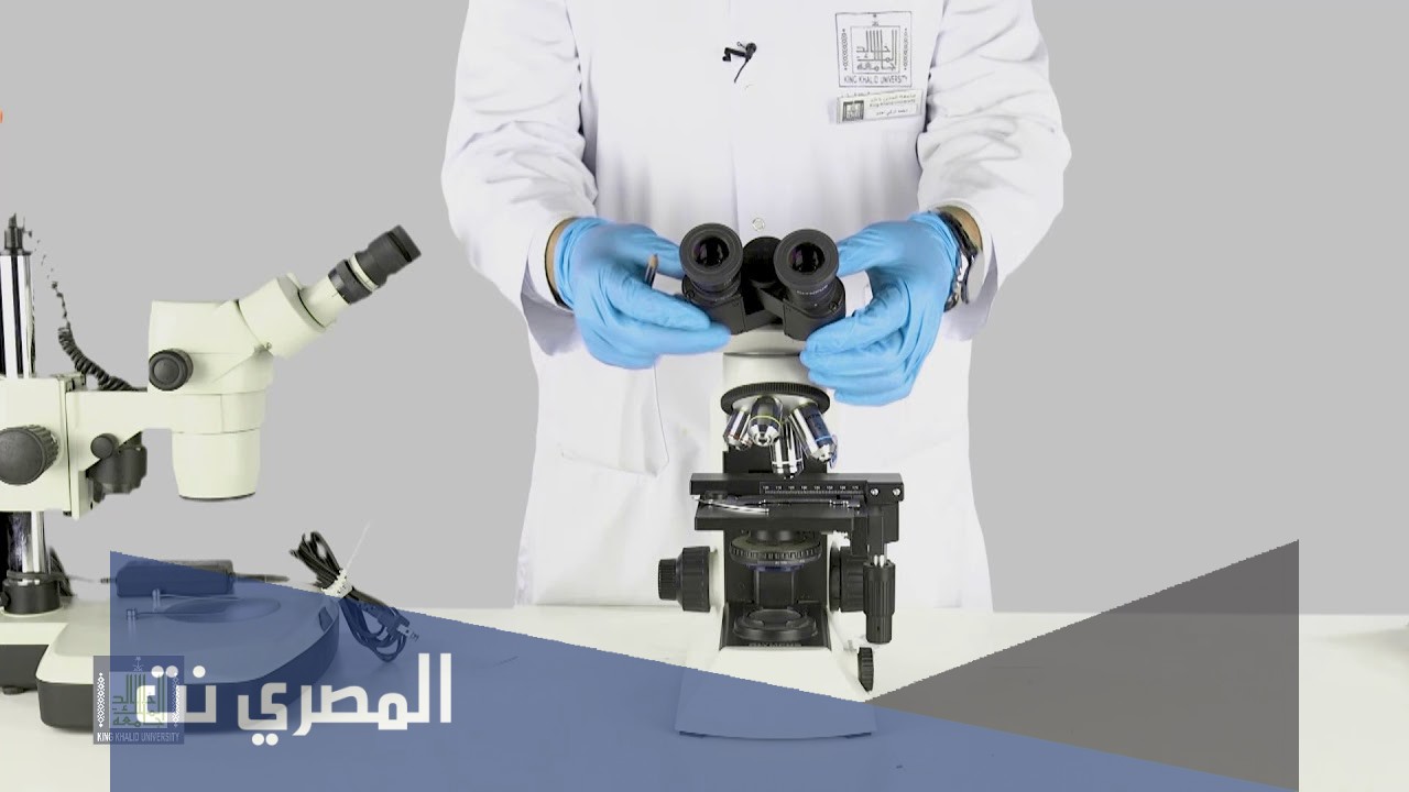 لماذا سميت العدسة الزيتية بهذا الاسم