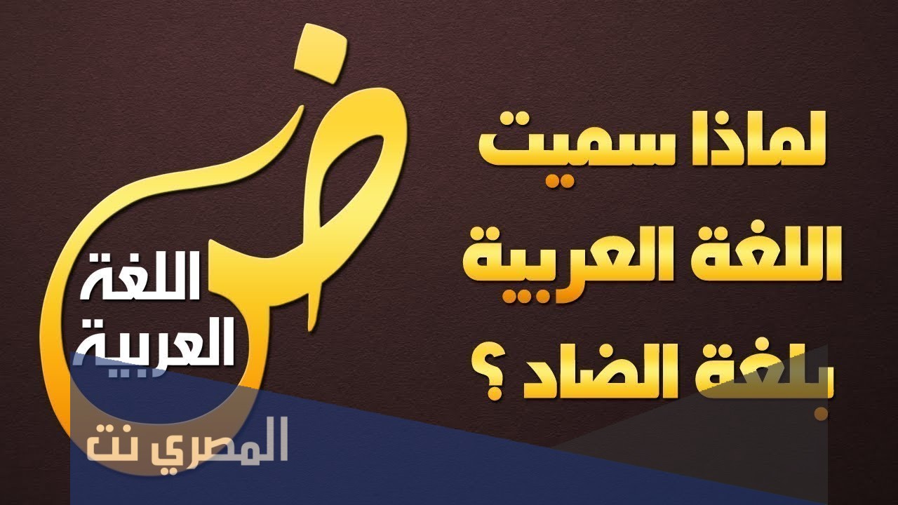 لماذا سميت اللغة العربية بلغة الضاد