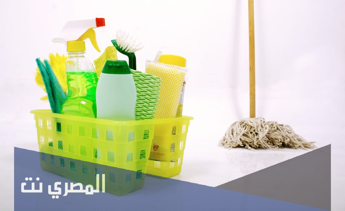 ما أفضل شركة تأجير عاملات بالشهر