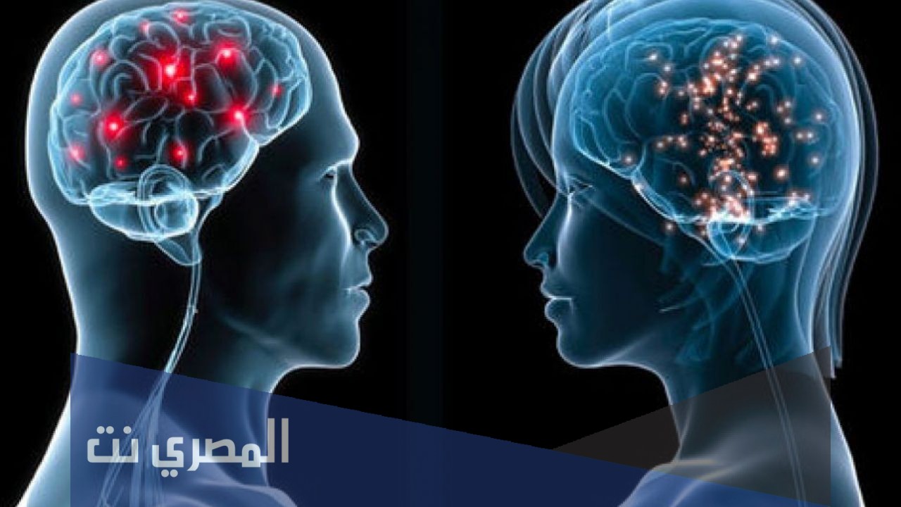 ما الفرق بين الرجل والمرأة في التكوين الجسدي والعاطفي؟
