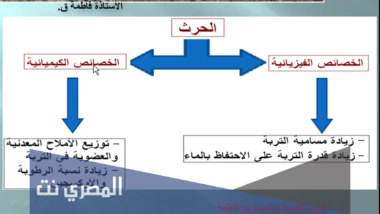 ما تأثير العوامل الخارجية على إنتاج الكتلة الحيوية؟