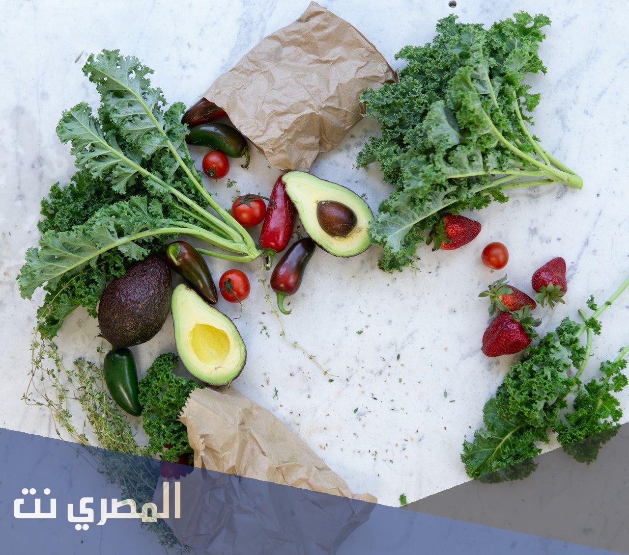 ما لا تعرفه عن دايت رمضان