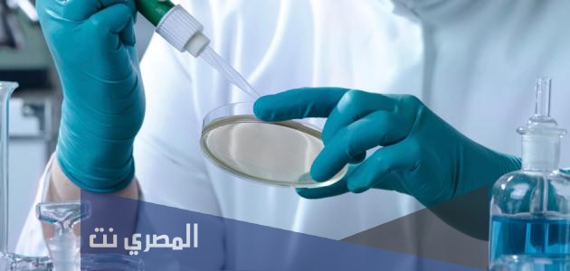 ما هو أقوى سم في العالم؟