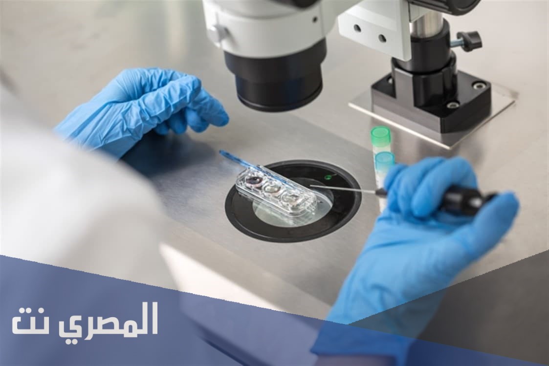 ما هو الحقن المجهري وكم تكلفته