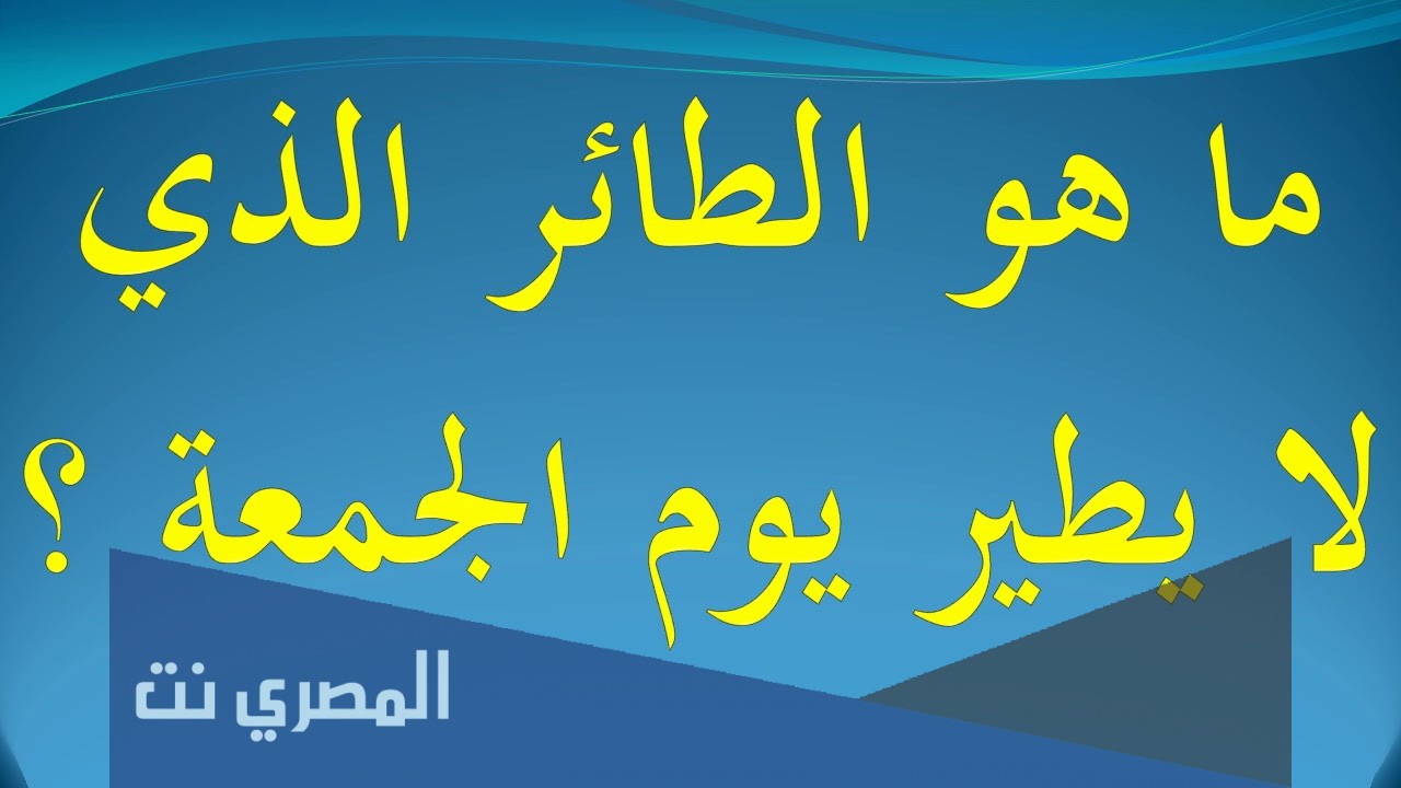 ما هو الطائر الذي لا يطير يوم الجمعه