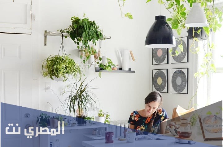 ما هو الغاز المفيد للنباتات ؟