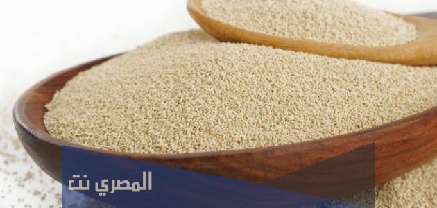 ما هو الفرق بين الخميرة الفورية وخميرة البيرة