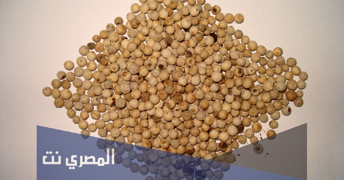 ما هو الفلفل الأبيض واستخداماته