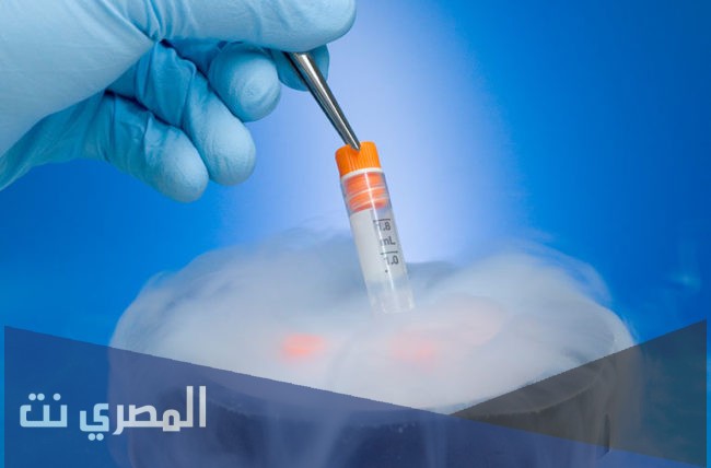 ما هو تجميد البويضات وهل هو حلال أم حرام