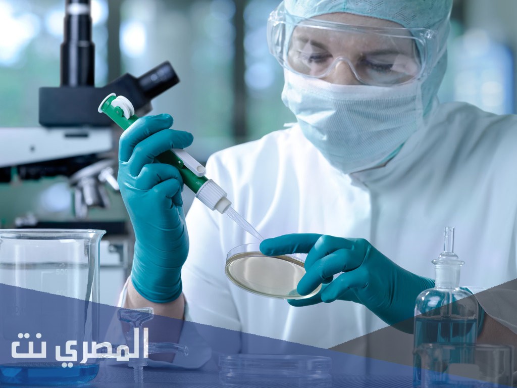 ما هو تخصص علم الأمراض؟