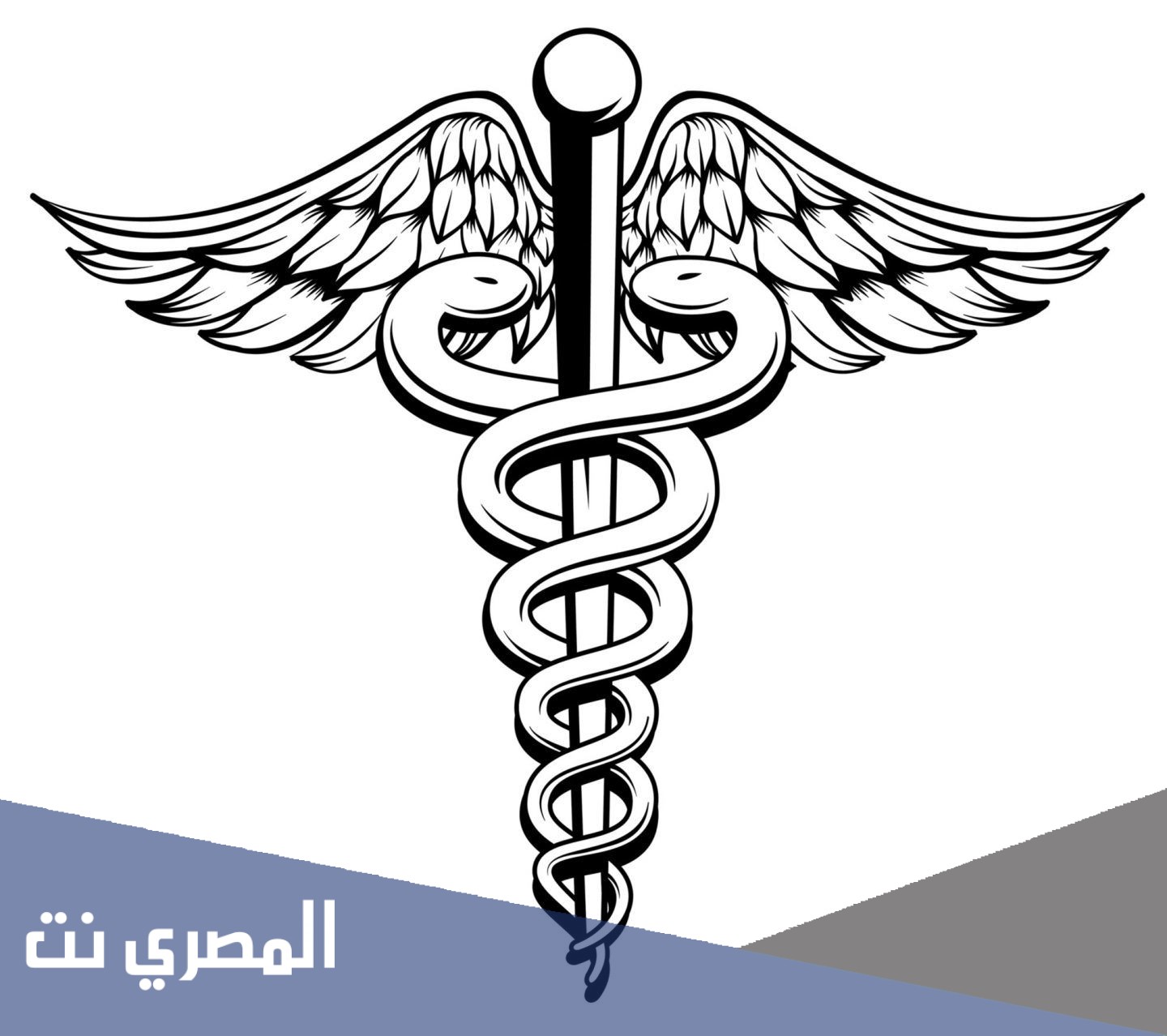 ما هو سبب اختيار العصا والافعى شعارا للطب والصيدلة