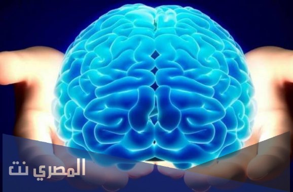 ما هي ادوية علاج ضمور المخ