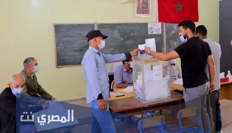 ما هي انتخابات الغرف المهنية