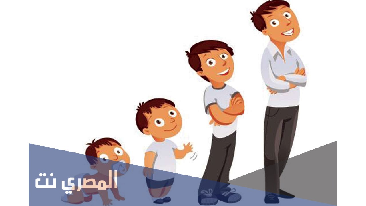 ما هي خصائص النمو للمرحلة المتوسطة