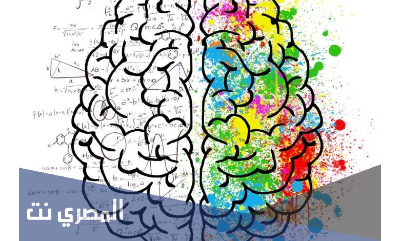 ما هي خطوات الطريقه العلميه