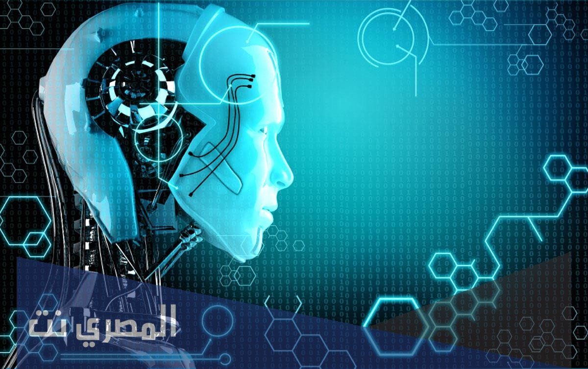 ما هي فروع العلوم