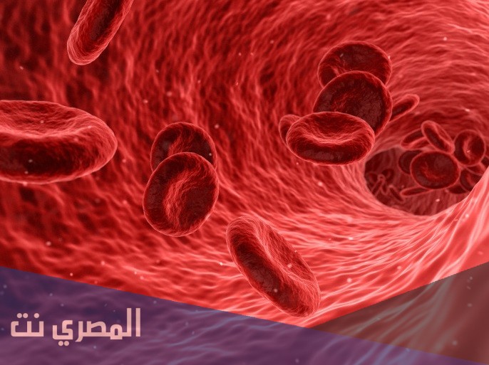 ما هي فصيلة الدم الاكثر شيوعا في العالم