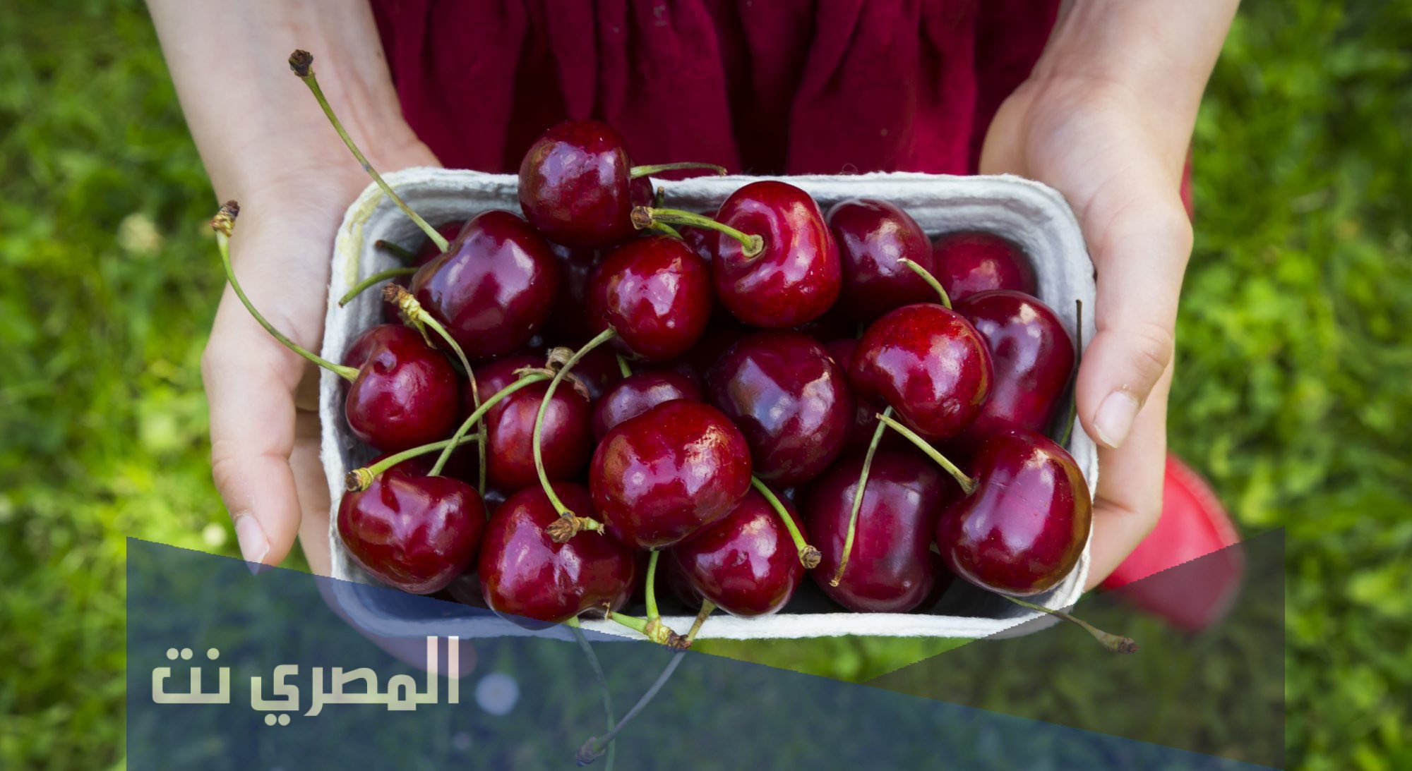 ما هي فوائد العناب الاحمر؟