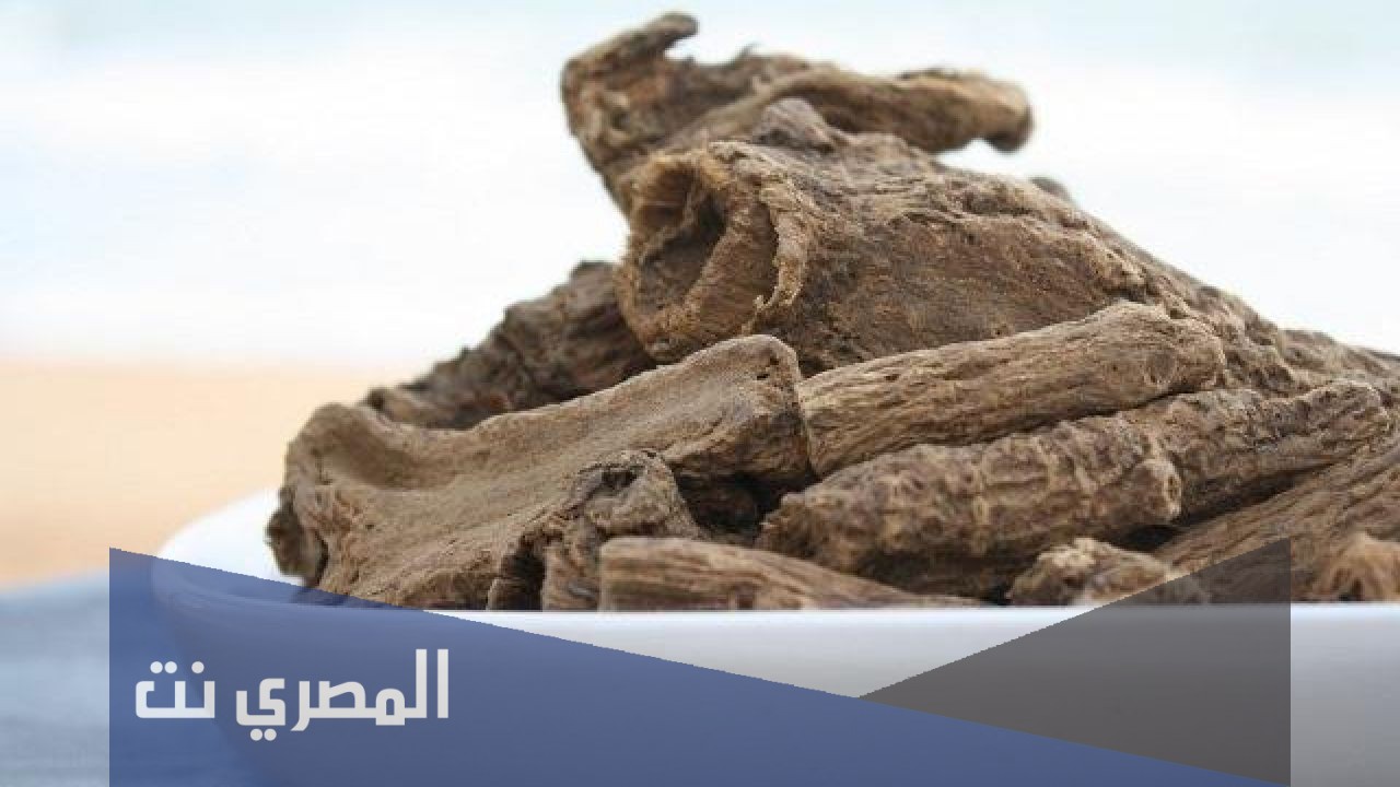 ما هي فوائد تبخيرة القسط الهندي؟