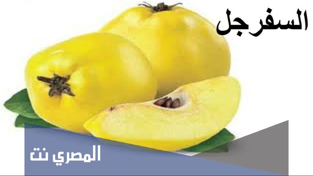 ما وزن كلمة سفرجل في اللغة