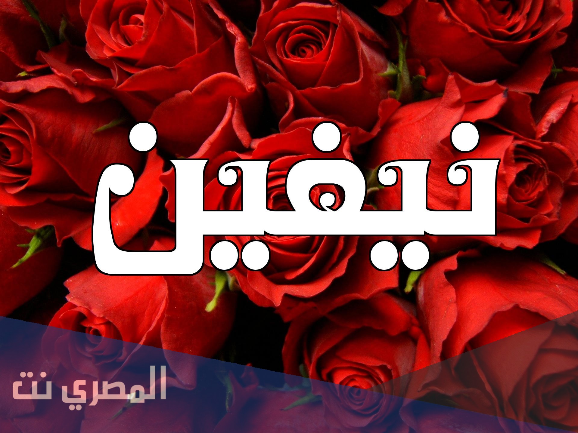ماذا تعني كلمه نيفين