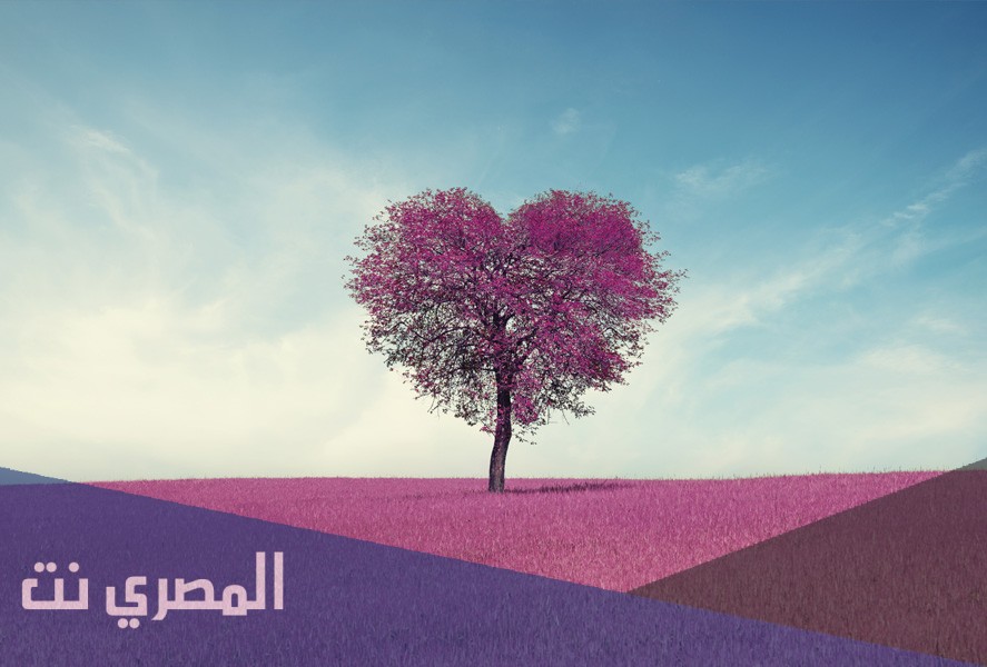 ماذا يعني القلب البنفسجي