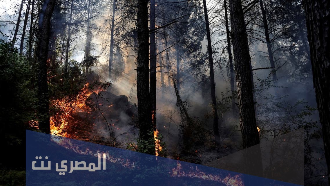 ماهو سبب الحريق في تركيا