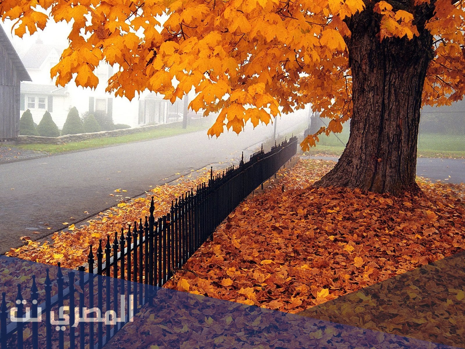 متى موعد انتهاء الصيف ودخول فصل الخريف