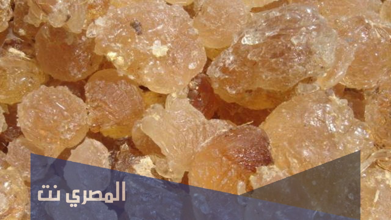 متى يشرب الصمغ العربي