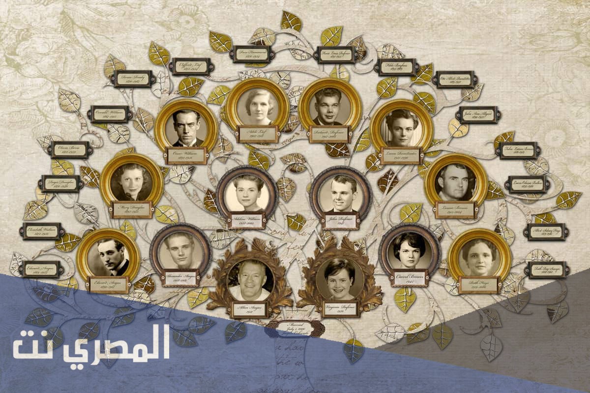 معرفة النسب بالاسم خطوة بخطوة