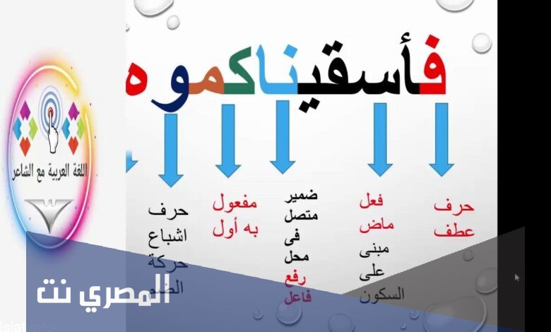 معلومات دينية عن أطول كلمة في القرآن