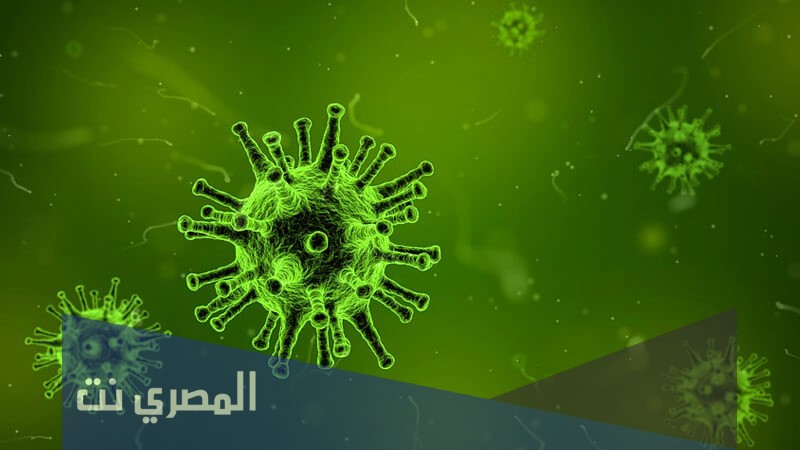 معلومات طبية عن علاج الدوسنتاريا