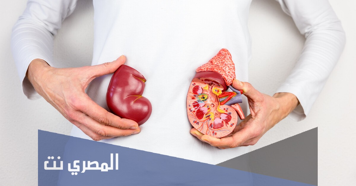 معلومات عن اعراض ارتفاع البولينا