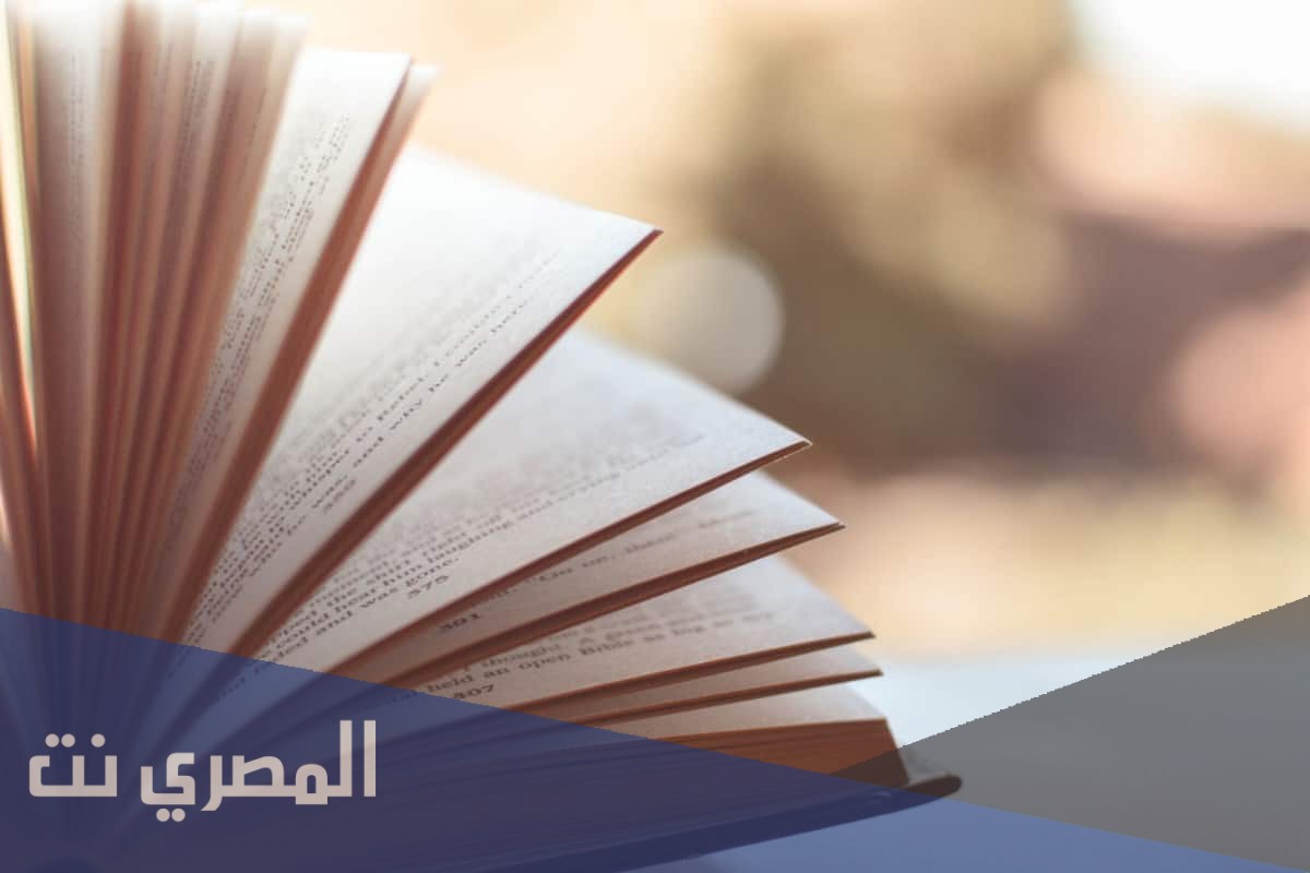 معلومات عن الفرق بين الرواية والقصة