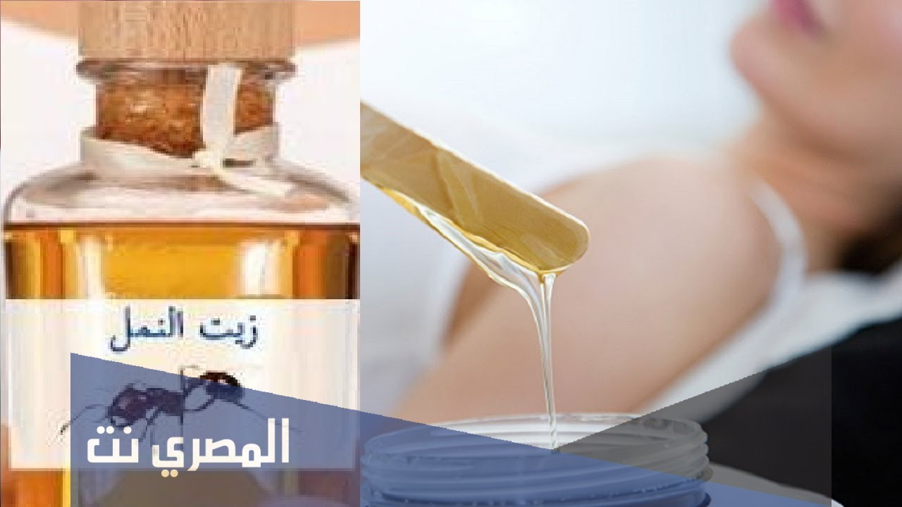 معلومات عن زيت النمل وفوائده