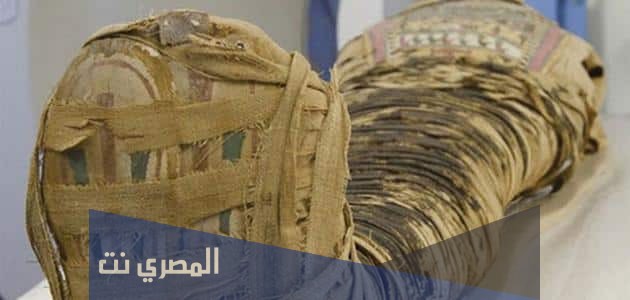 معلومات نادرة عن الفراعنة