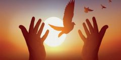 موضوع تعبير عن الحب والسلام بالعناصر الرئيسية