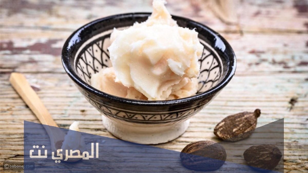مكونات زبدة الشيا وفوائدها